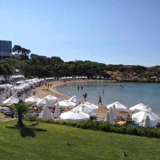 Queen Aphrodite Hotel Karpasa Kültér fotó